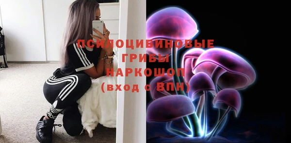 2c-b Богородицк