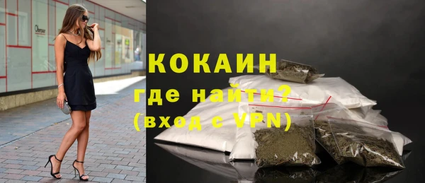 шишки Богородск
