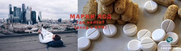 шишки Богородск