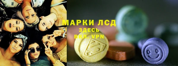 шишки Богородск
