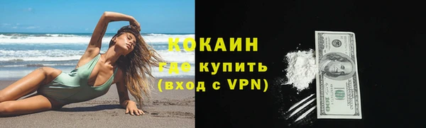 шишки Богородск