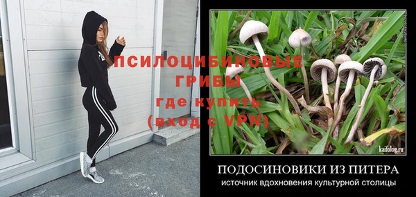шишки Богородск