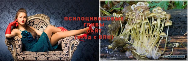 2c-b Богородицк