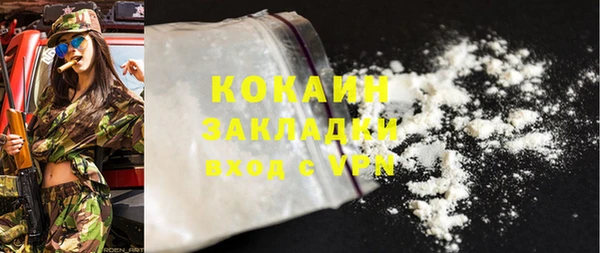 2c-b Богородицк