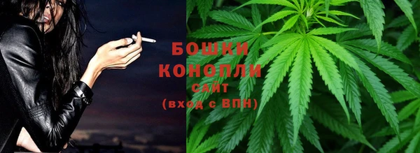шишки Богородск